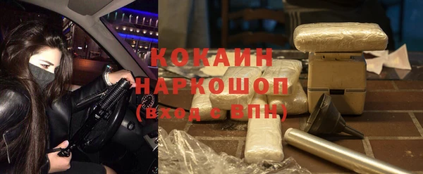 винт Богданович