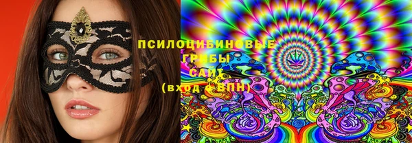 соль ск Богородск