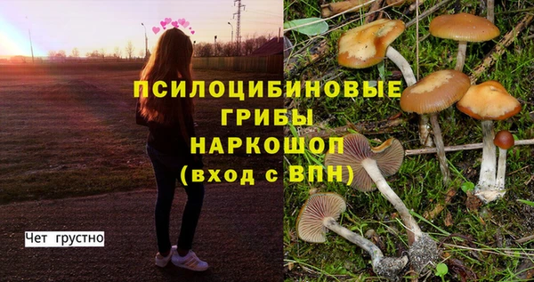 каннабис Богородицк