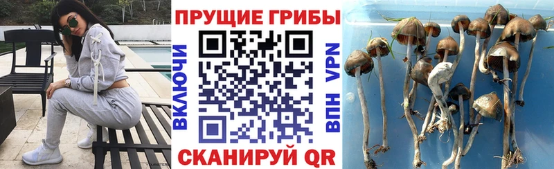 Псилоцибиновые грибы мицелий Костомукша